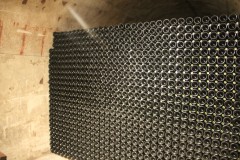 IMG_0397