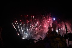 IMG_0483