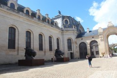 IMG_0520