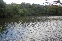 IMG_0525
