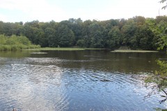 IMG_0527