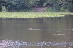 IMG_0528