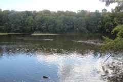 IMG_0530