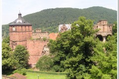 200Heidelberg-3