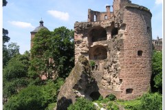 203Heidelberg-6