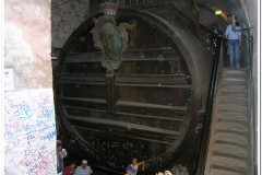 205Heidelberg-8
