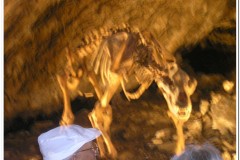 276Harz-Rübeland-höhle-2