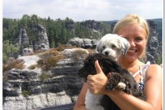 337Sachsen-Schweiz-Bastei-5