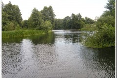 403Spreewald