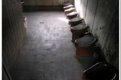 450Sachsenhausen-4