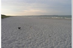 469Rügen