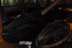 P1020643