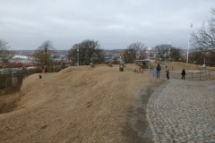 P1020741