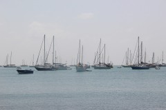 IMG_2589