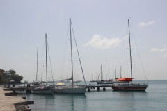 IMG_2598-Prickley-Bay-Marine