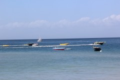 IMG_2828