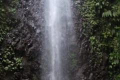 IMG_2970