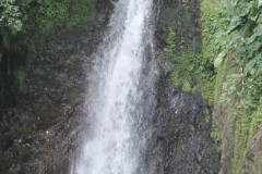 IMG_3016