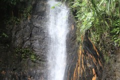 IMG_3021