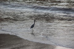 IMG_3048
