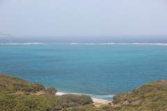 IMG_3250