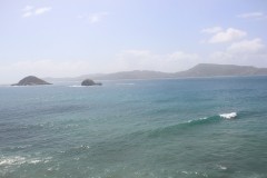 IMG_3312-Petite-Dominque-Fota-Isl.-Carriacou