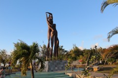 IMG_0323