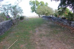 IMG_0352