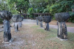 IMG_0356