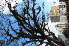 IMG_0357