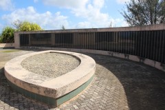 IMG_0412