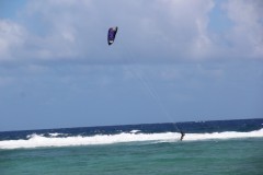 IMG_0422