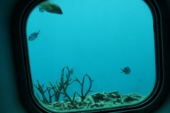 IMG_0428