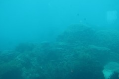 IMG_0431