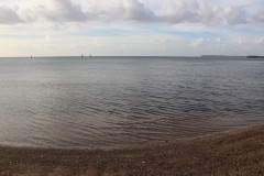 IMG_0454