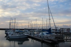 IMG_0459