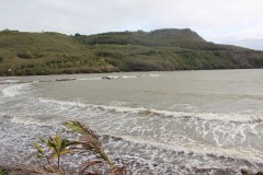 IMG_0473