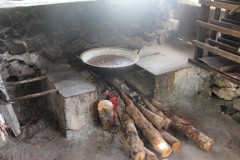 IMG_0500
