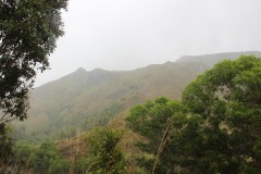 IMG_0518