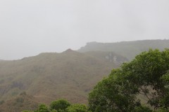 IMG_0519