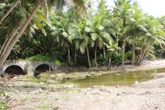 IMG_0527
