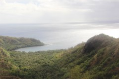 IMG_0533