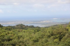 IMG_0544