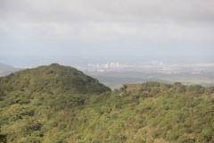 IMG_0551