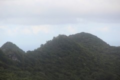 IMG_0555