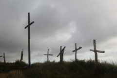 IMG_0557