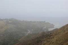 IMG_0572