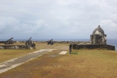 IMG_0593