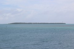 IMG_0607