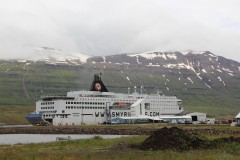 IMG_0081